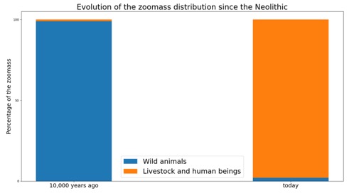 NooS · Evolution of the Zoomass